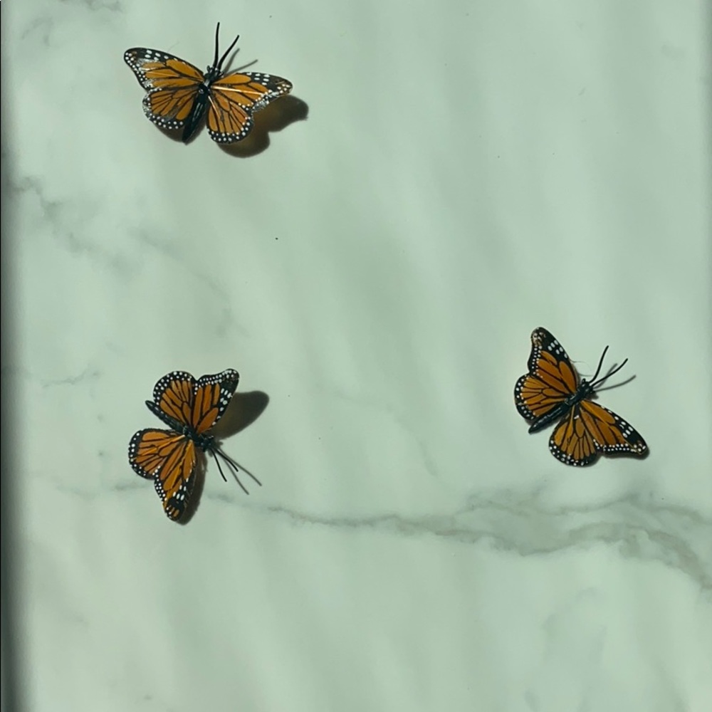 Meet your Posher, Avi